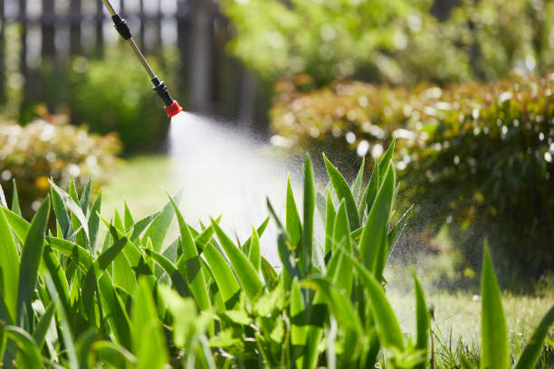 Tamper-Resistant Bait Stations for Rodents in The Acreage