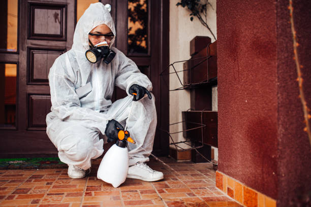 Attic and Crawl Space Rodent Treatment in The Acreage