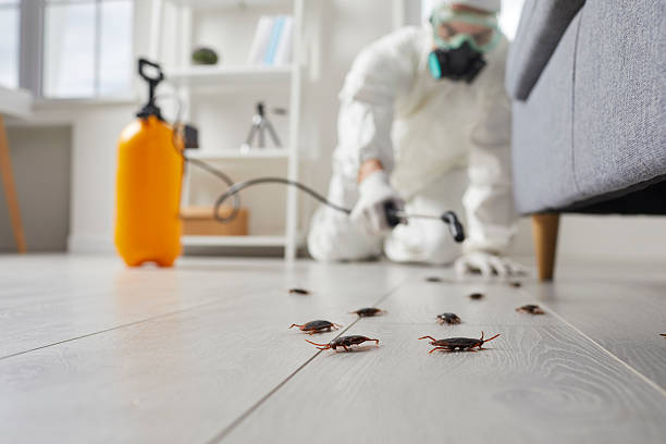 Commercial Rodent Management in The Acreage